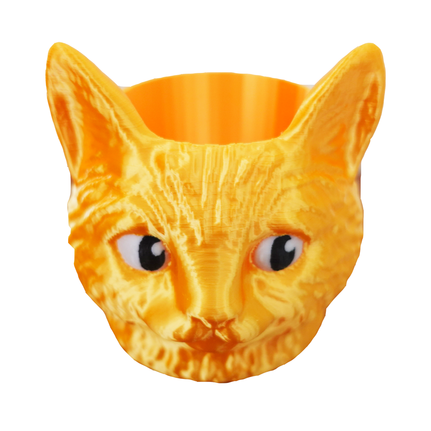 Gato Dorado 🍀