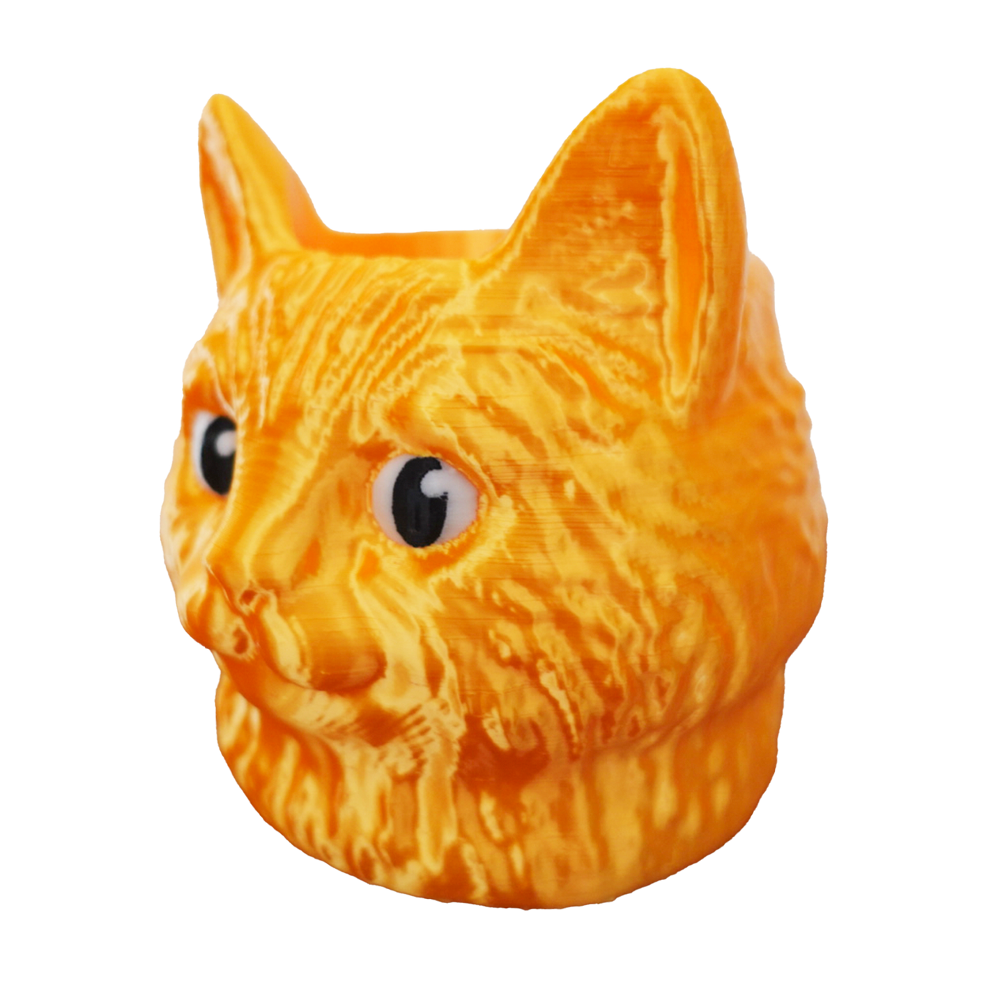 Gato Dorado 🍀