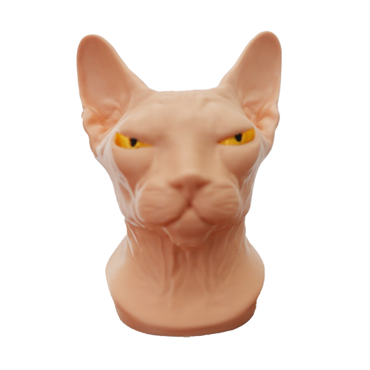 Gato Esfinge